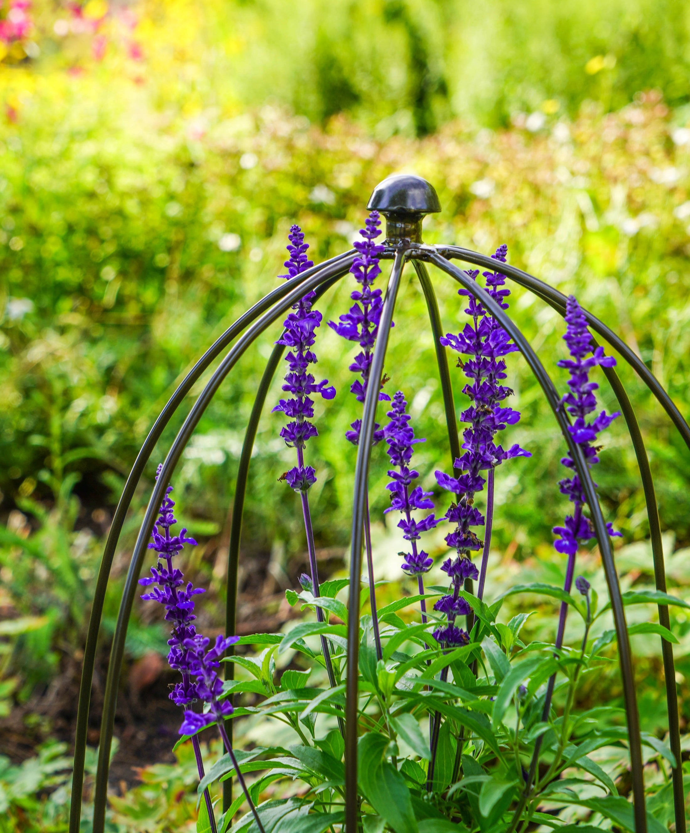 Outdoor Plant Support Dome