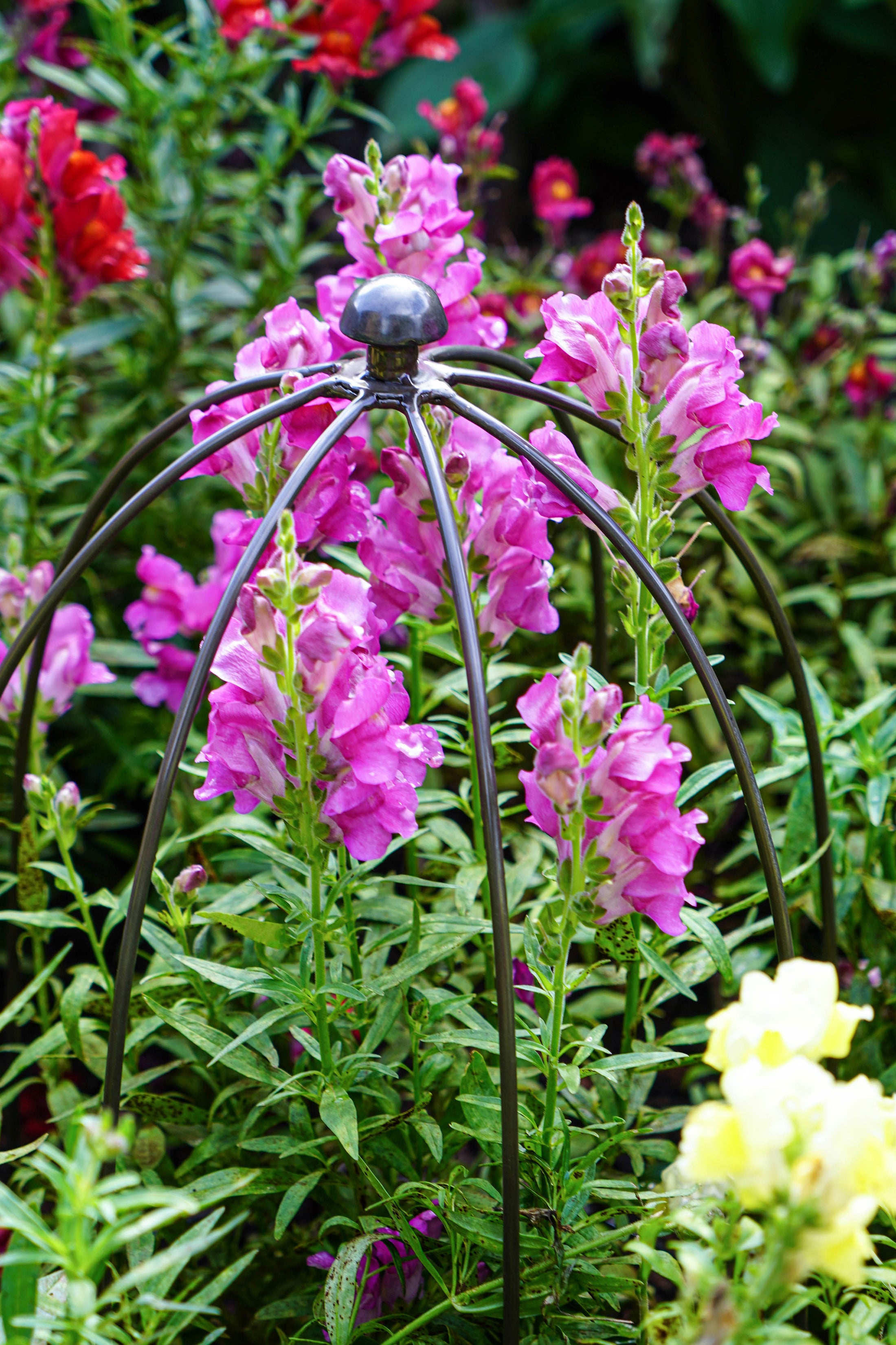 Outdoor Plant Support Dome