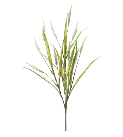 Pennisetum Spray | Set of Three