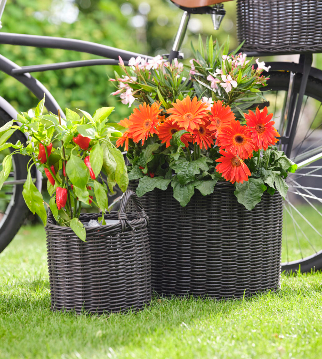 Outdoor Grey Rattan Planters (set of 2)