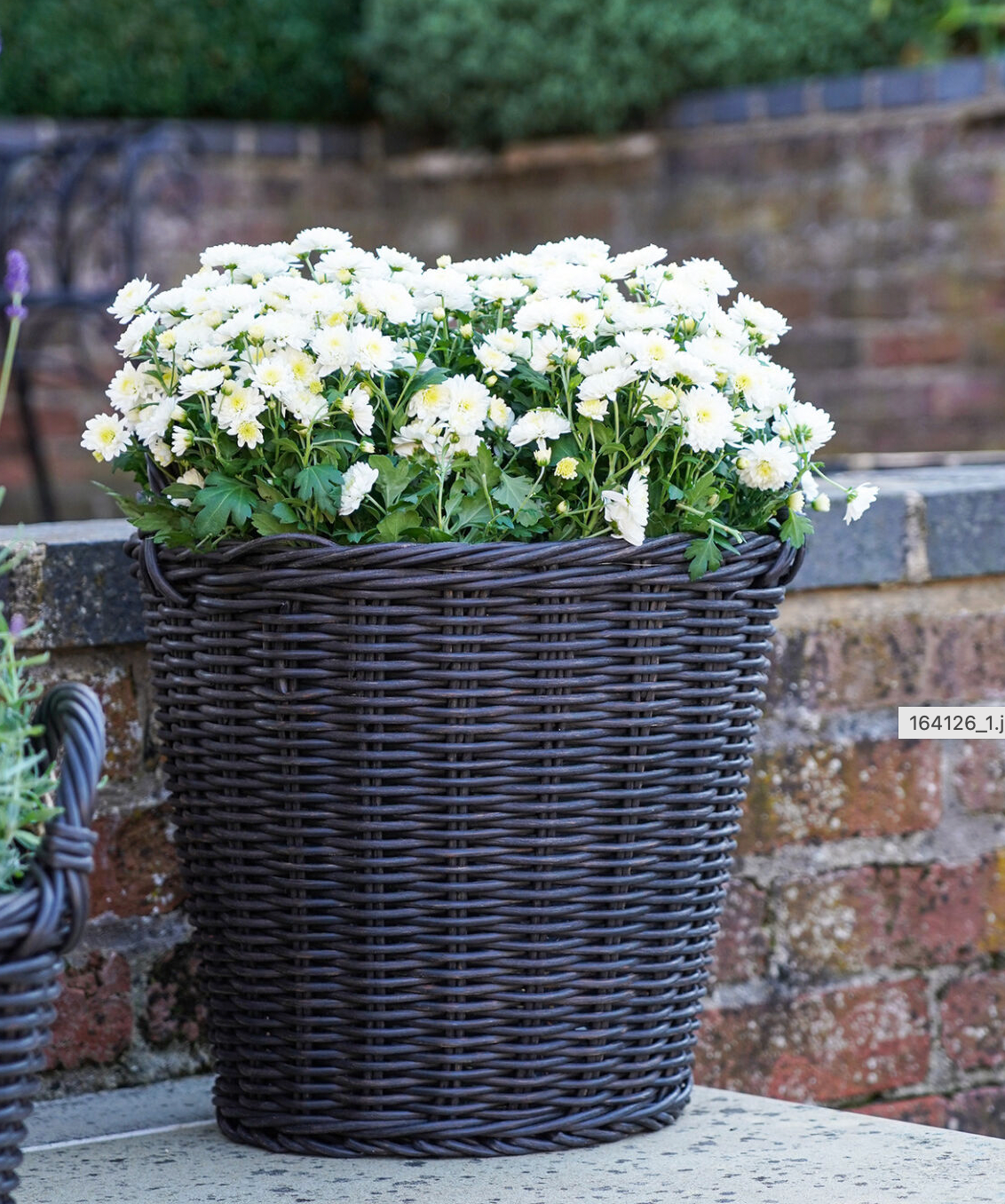 Outdoor Grey Rattan Planters (set of 2)