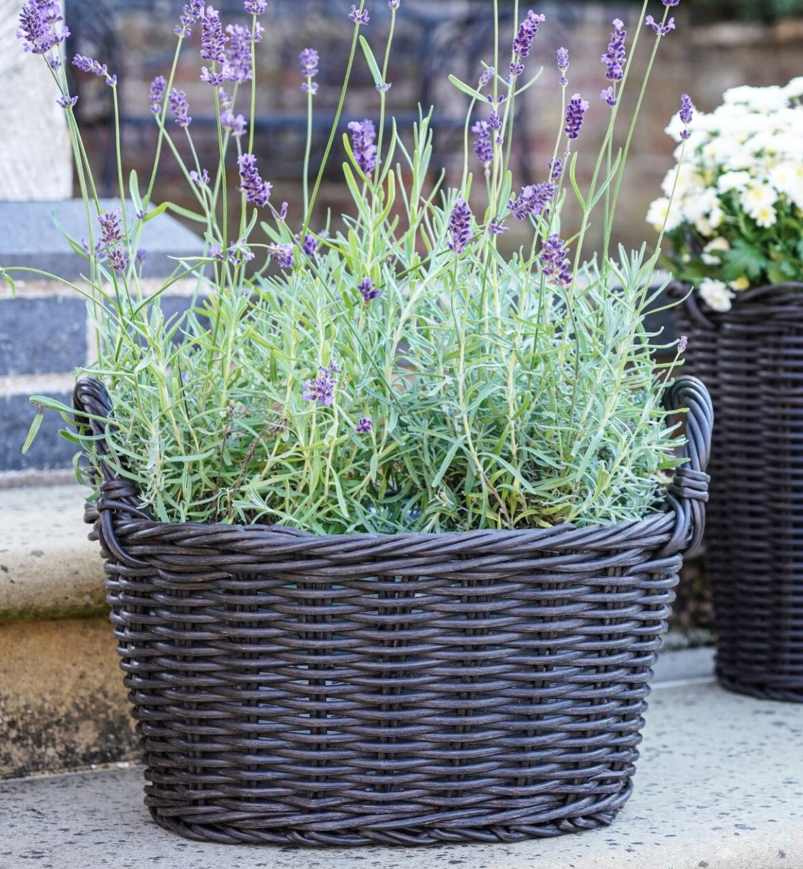 Polyrattan Grey Lined Basket (2 sizes)