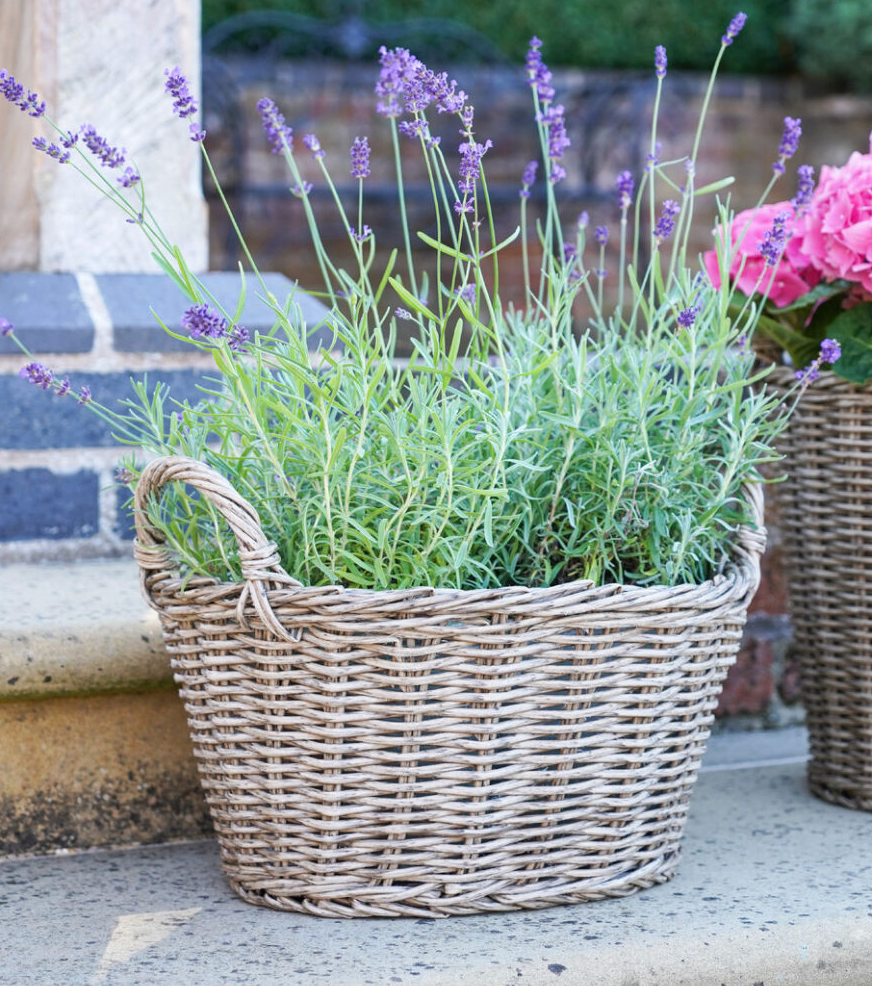 Polyrattan Natural Line Basket (2 sizes)