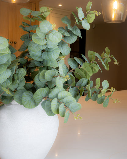 Luxury Eucalyptus Spray