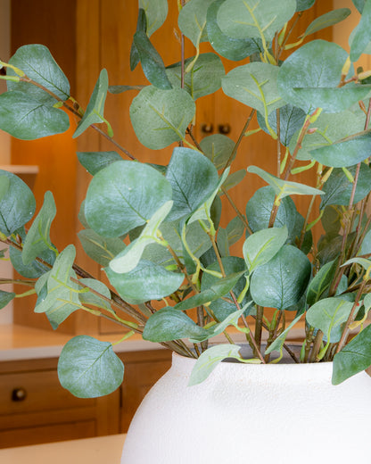 Dollar Eucalyptus Branch