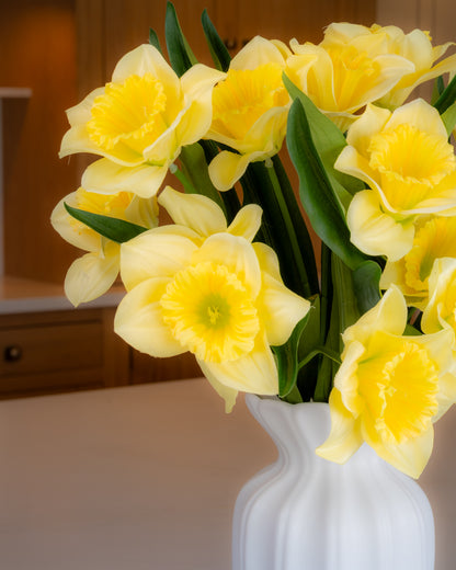 Daffodil Bunch
