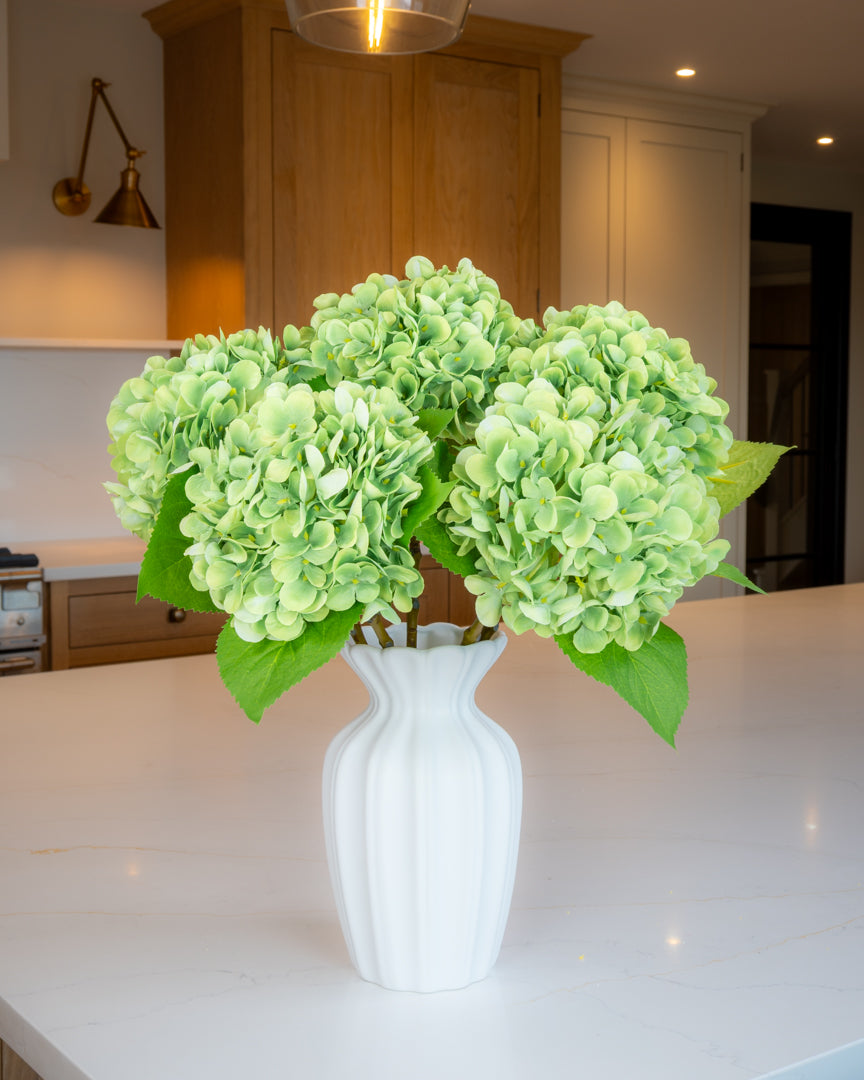 Hydrangea - Green