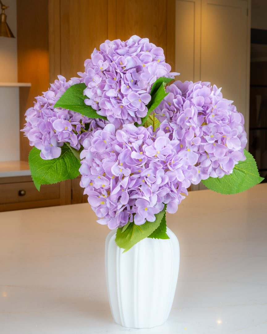 Hydrangea - Lilac