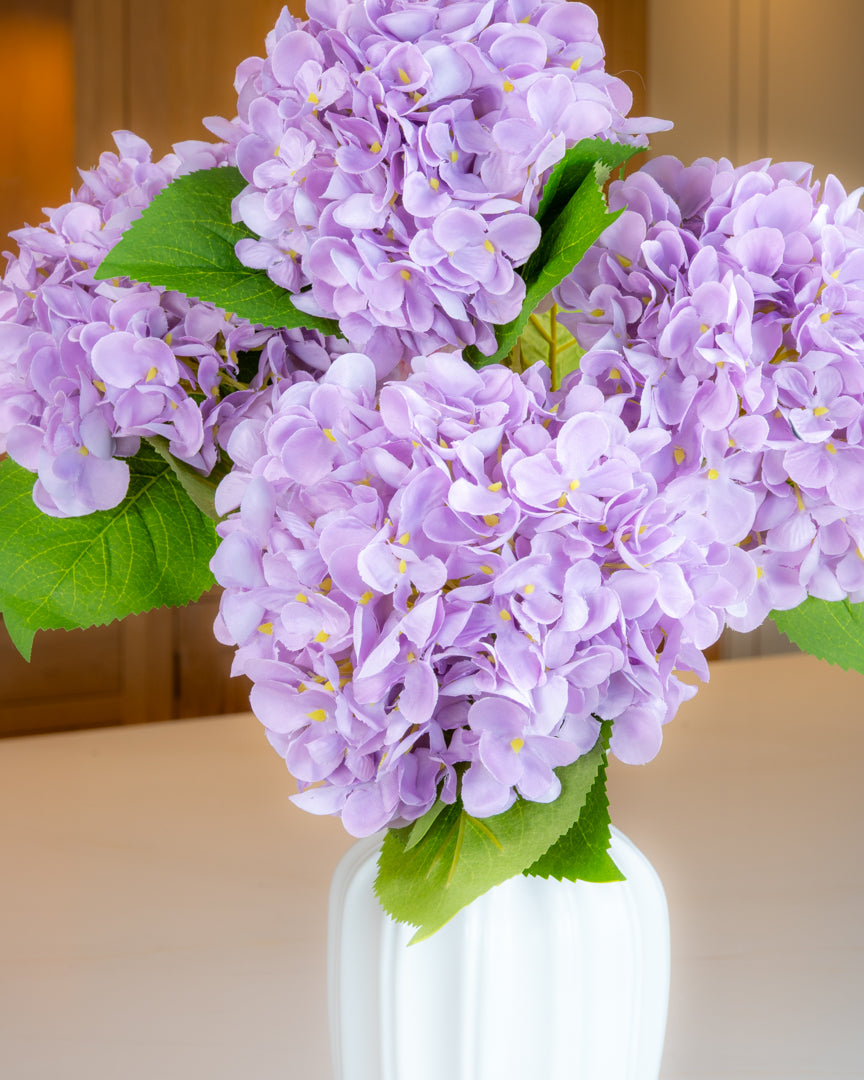 Hydrangea - Lilac
