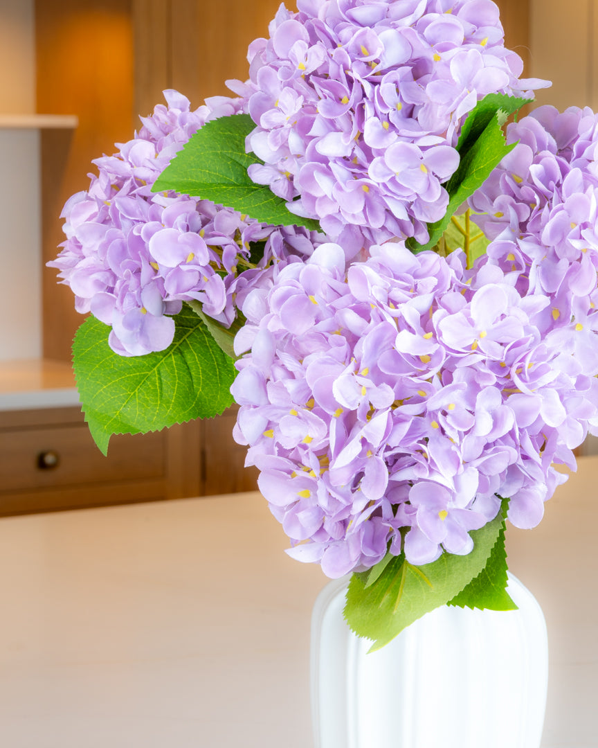 Hydrangea - Lilac