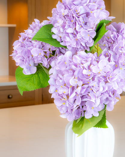 Hydrangea - Lilac