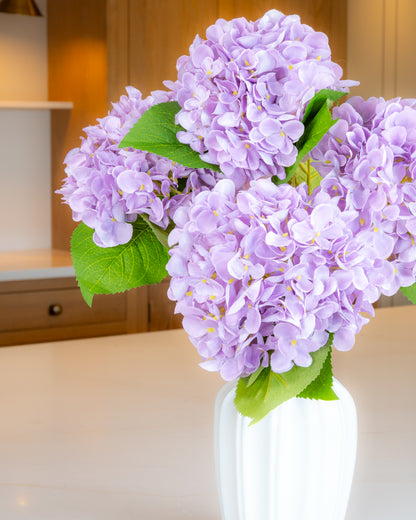 Hydrangea - Lilac