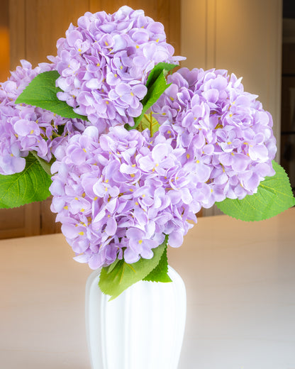Hydrangea - Lilac