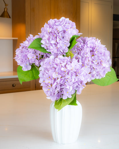 Hydrangea - Lilac