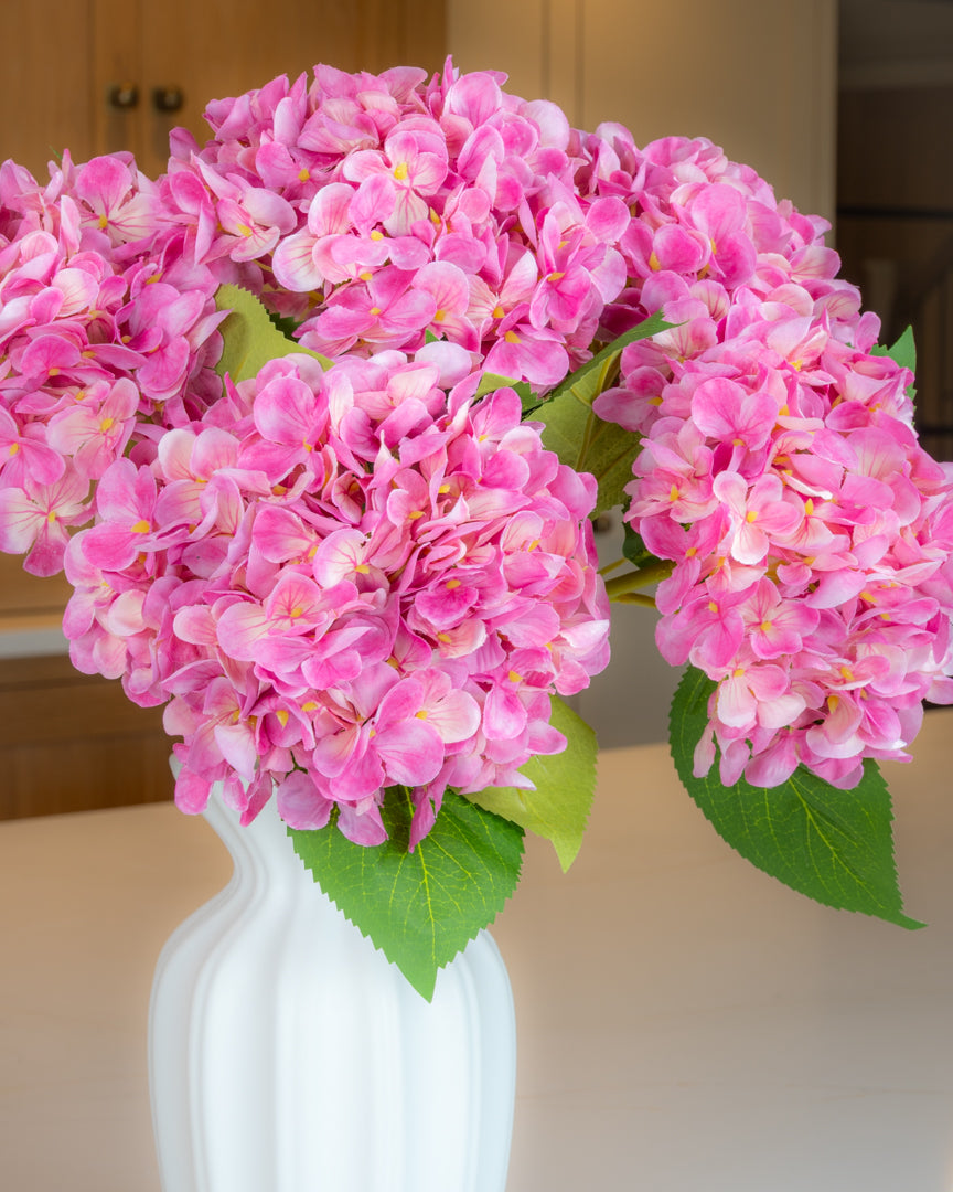 Hydrangea - Pink