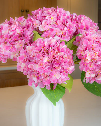 Hydrangea - Pink