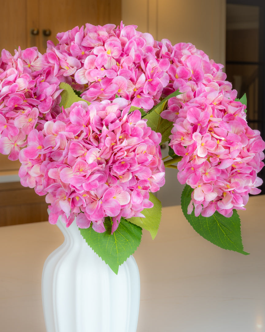 Hydrangea - Pink