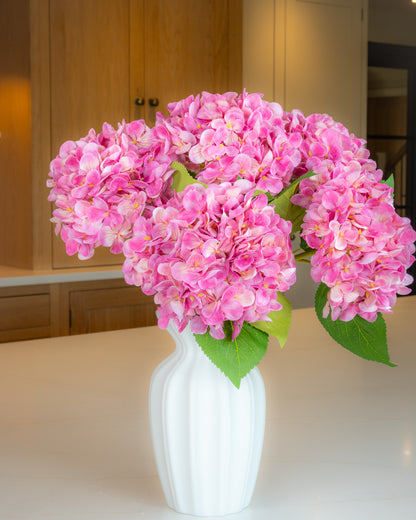 Hydrangea - Pink