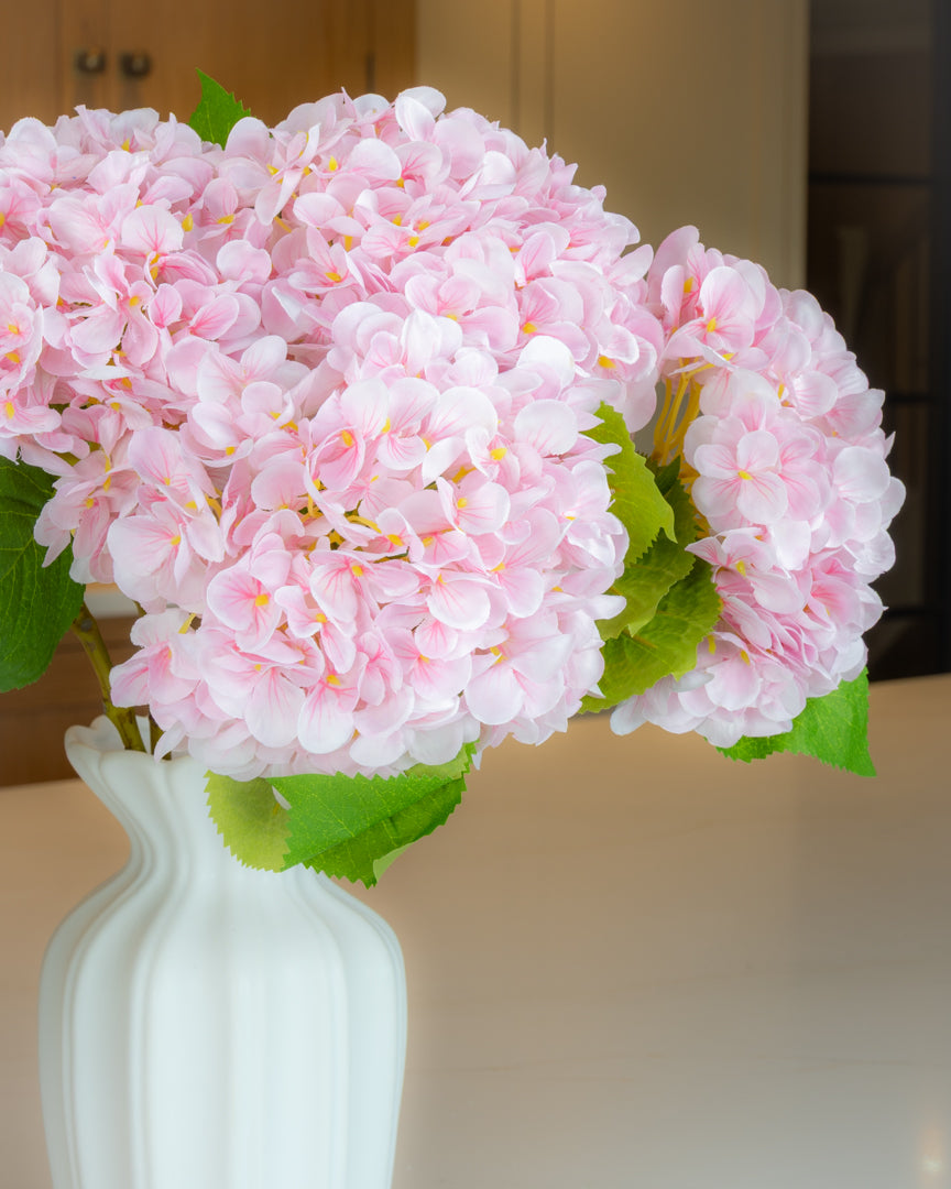 Hydrangea - Blush