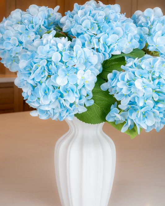 Hydrangea - Blue