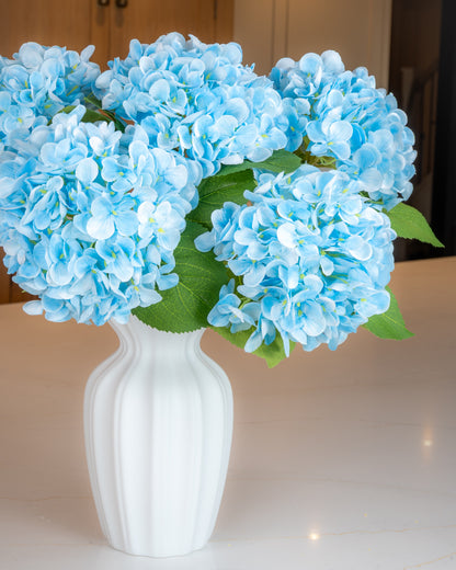 Hydrangea - Blue