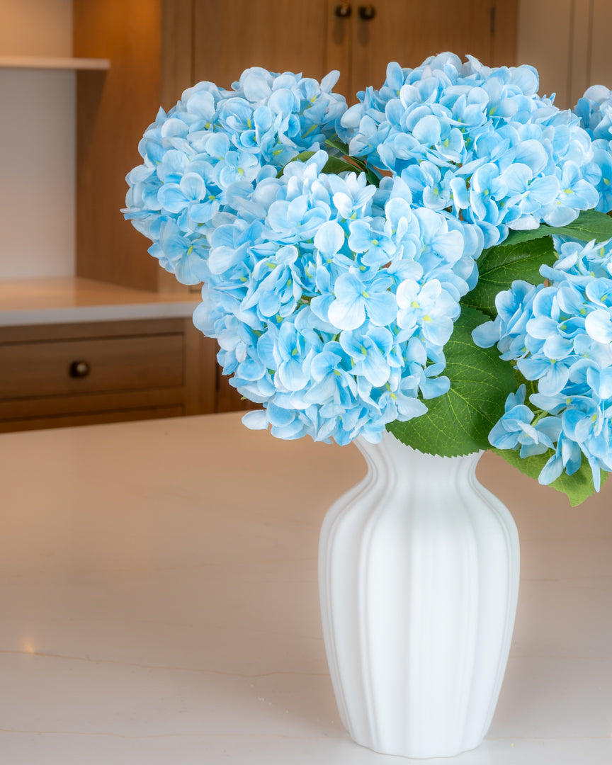 Hydrangea - Blue