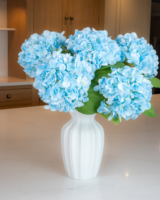 Hydrangea - Blue