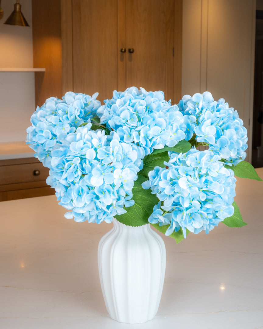 Hydrangea - Blue