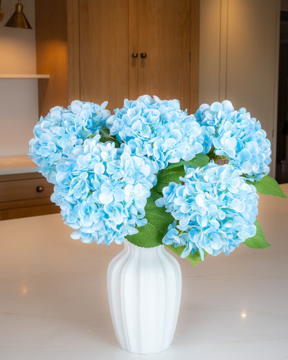 Hydrangea - Blue