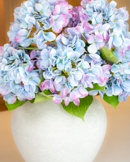 Bloomstruck Hydrangea - Blue/Pink