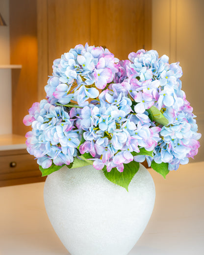 Bloomstruck Hydrangea - Blue/Pink