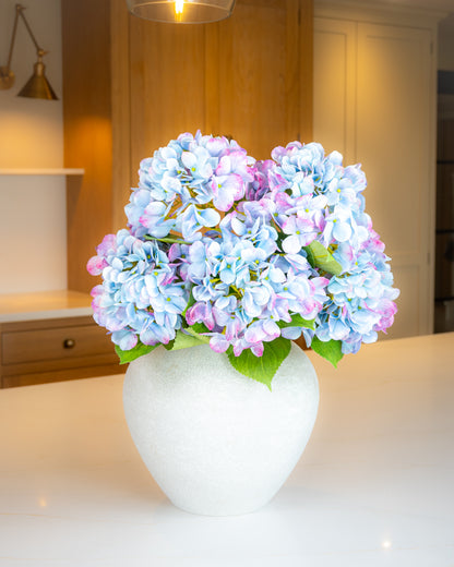 Bloomstruck Hydrangea - Blue/Pink