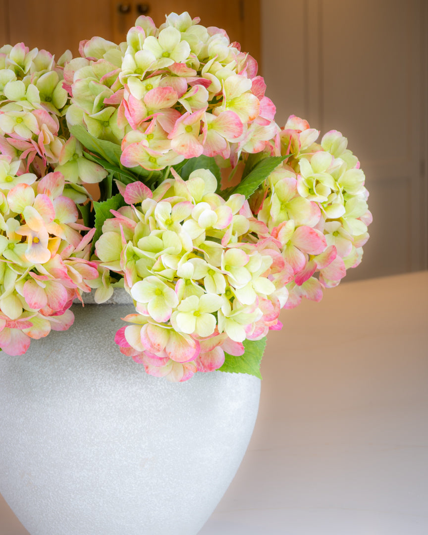 Bloomstruck Hydrangea - Green/Pink