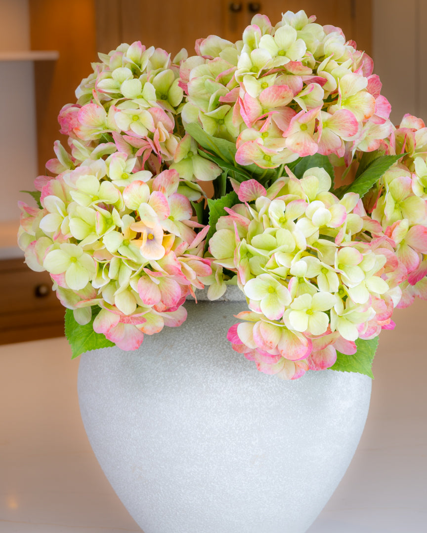 Bloomstruck Hydrangea - Green/Pink