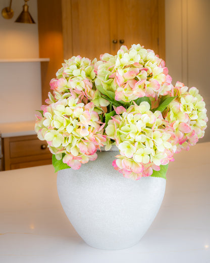 Bloomstruck Hydrangea - Green/Pink