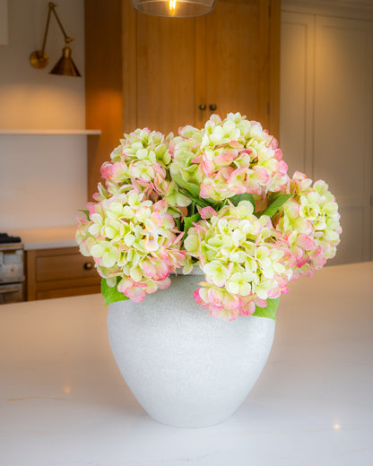 Bloomstruck Hydrangea - Green/Pink