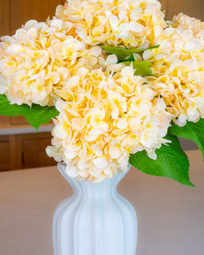Hydrangea - Apricot