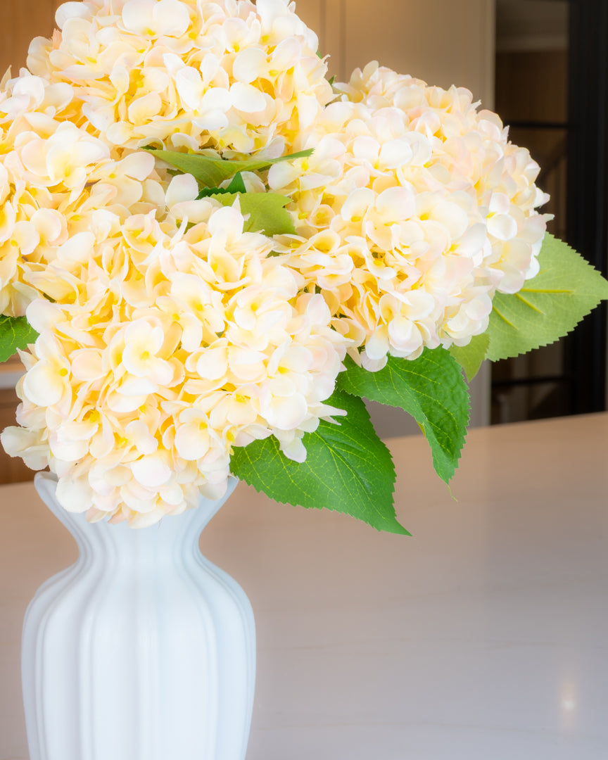 Hydrangea - Apricot