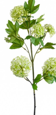 Viburnum Spray | Set of Three