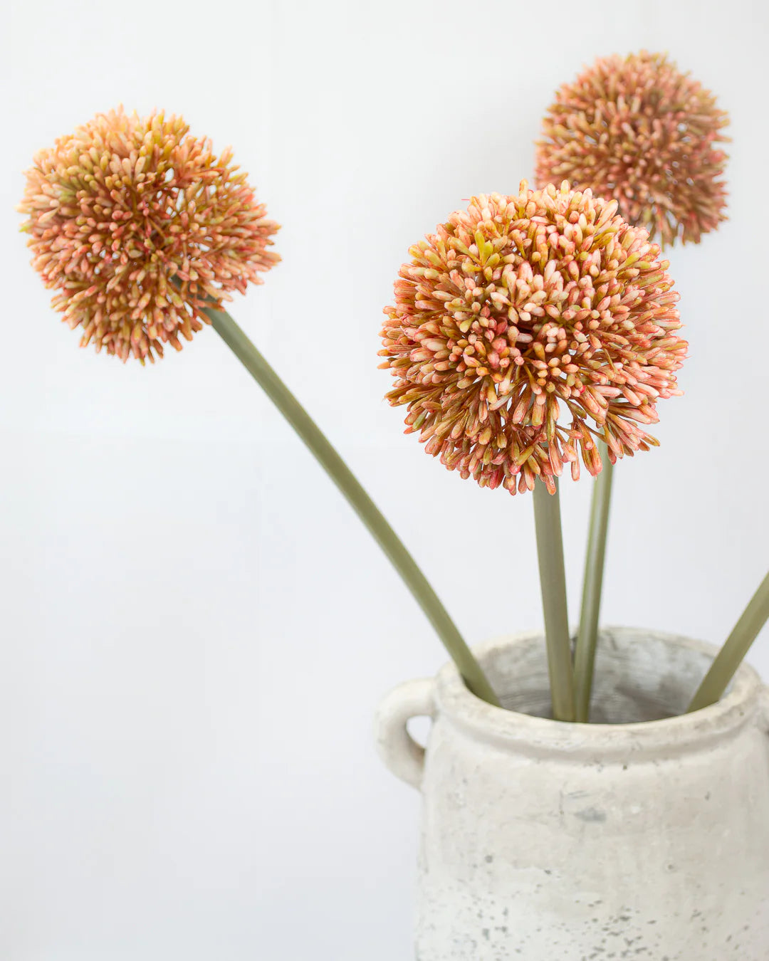 Pink Allium Stem