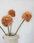 Load image into Gallery viewer, Pink Allium Stem
