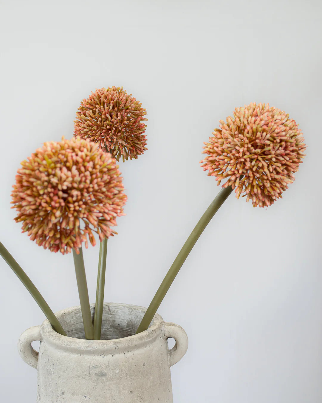 Pink Allium Stem