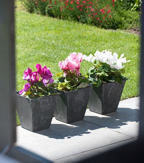 Buckingham Squat Planter - Black