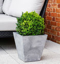 Load image into Gallery viewer, Buckingham Squat Planter Grey
