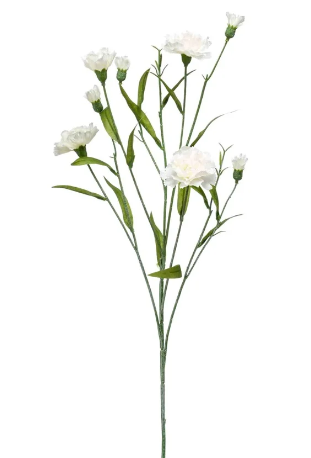 Dianthus Mini Spray | Set of Three