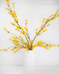 Load image into Gallery viewer, Forsythia Branch Stem
