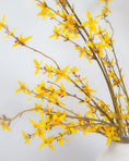 Load image into Gallery viewer, Forsythia Branch Stem
