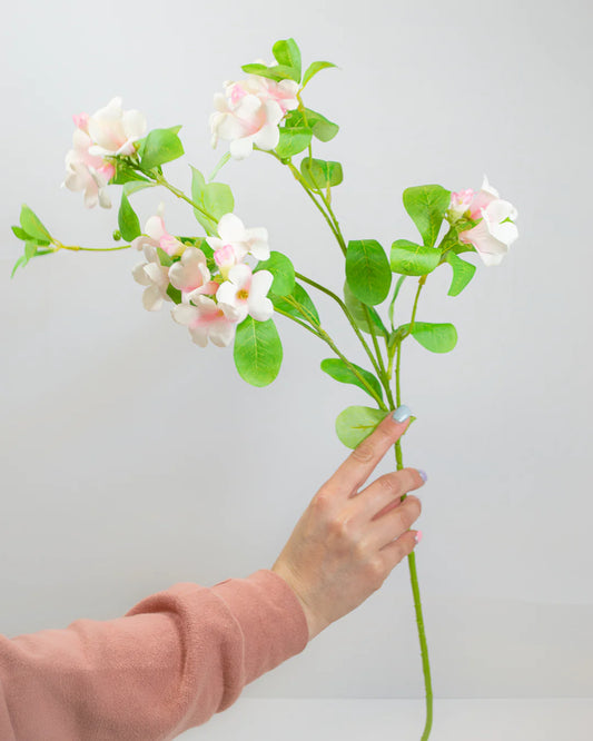 Pink & White Petunia Stem