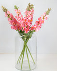 Load image into Gallery viewer, Pink Snapdragon Stem
