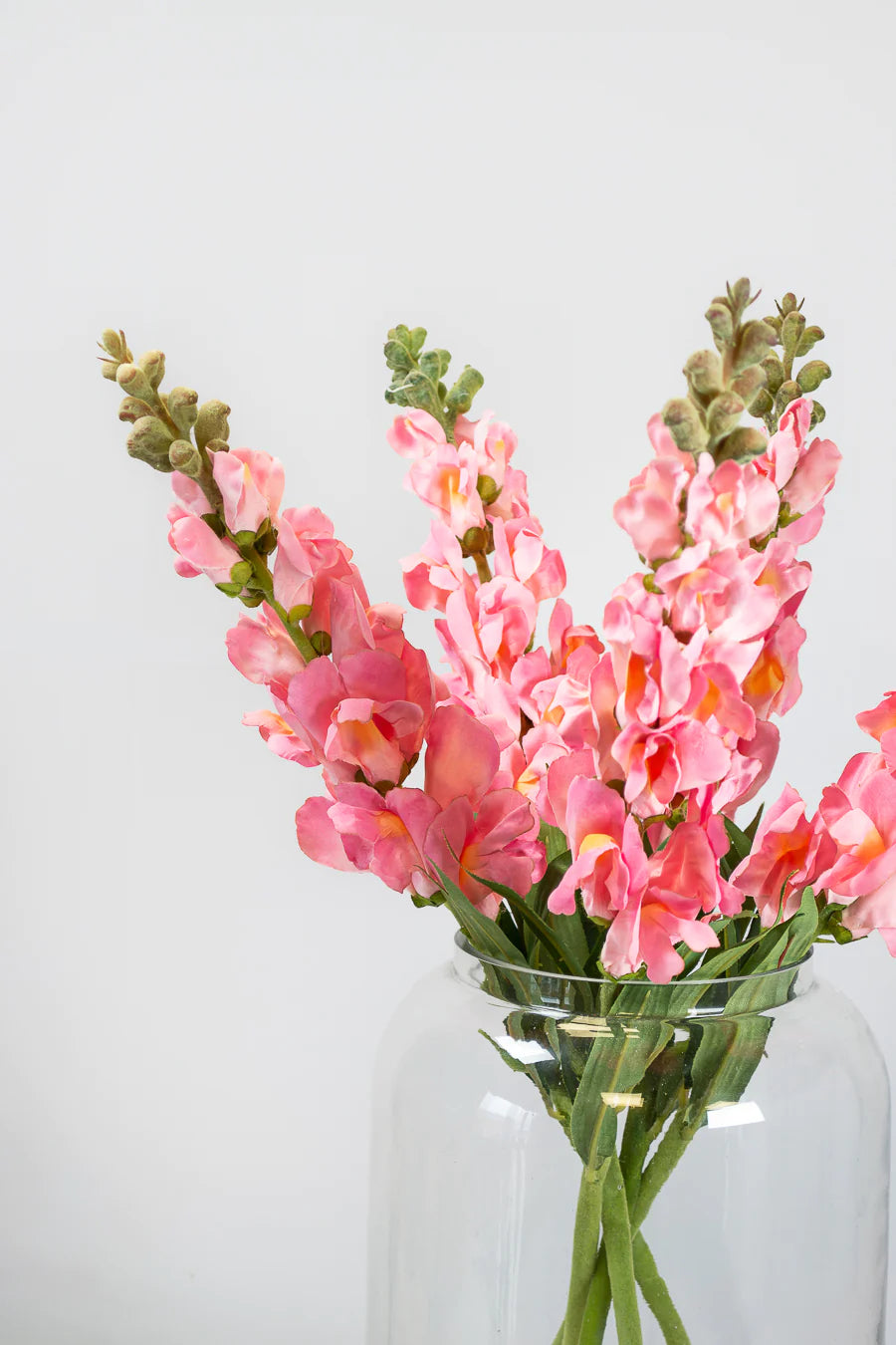 Pink Snapdragon Stem